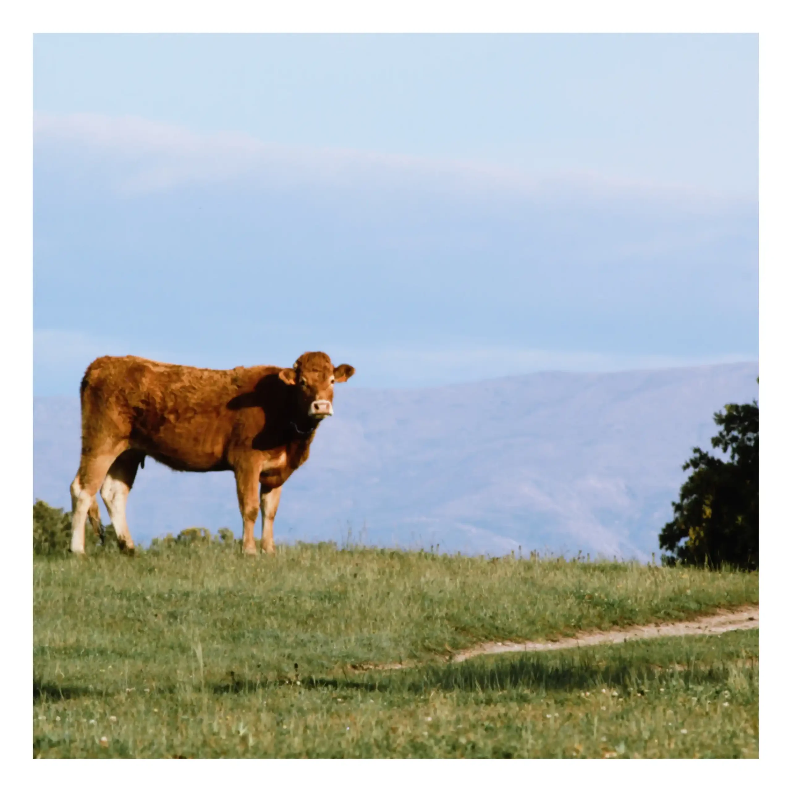 3B462604-73E3-45DD-A8FA-5DDA2003BACE