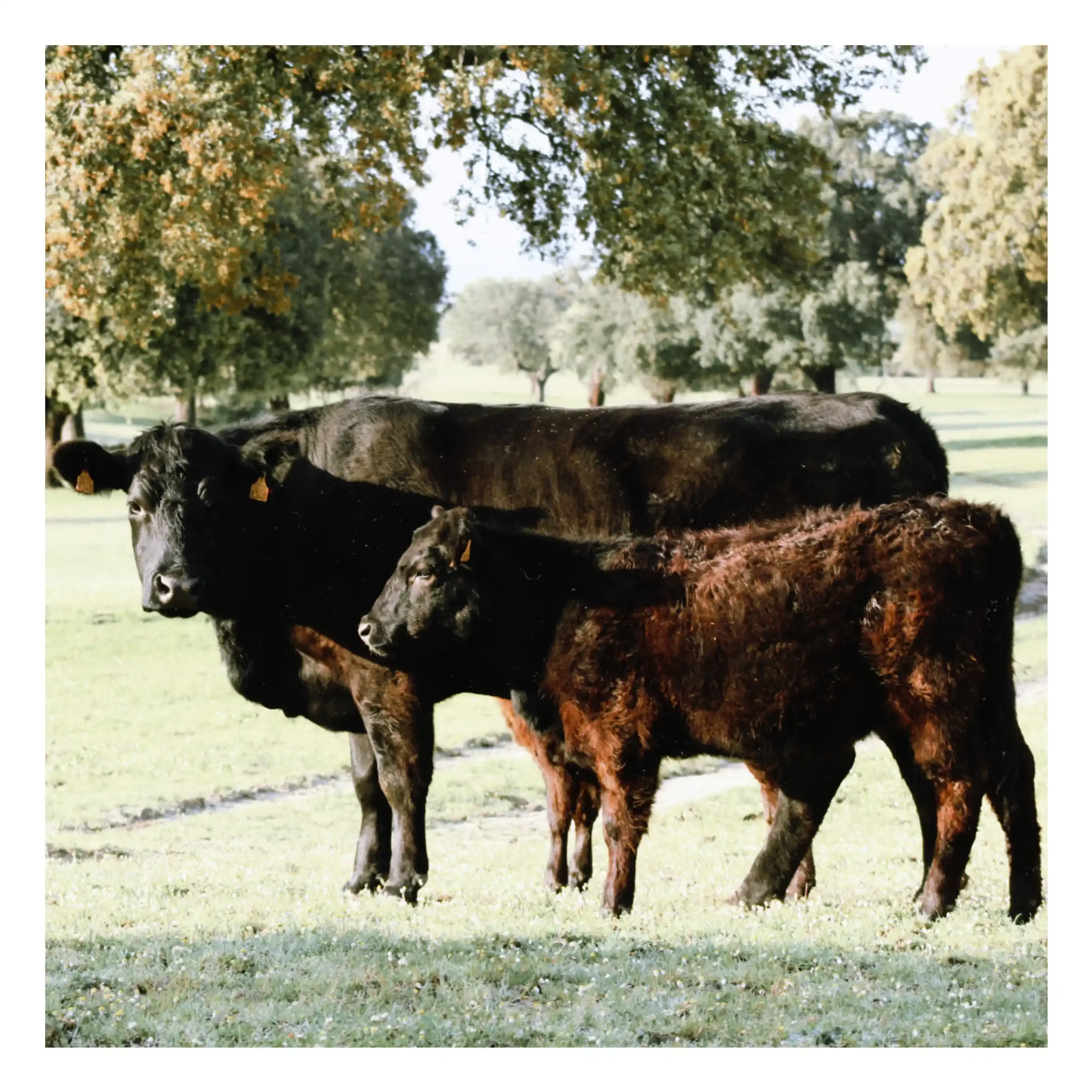 770E7049-D3EF-4E25-8636-21A4DA48CCBD