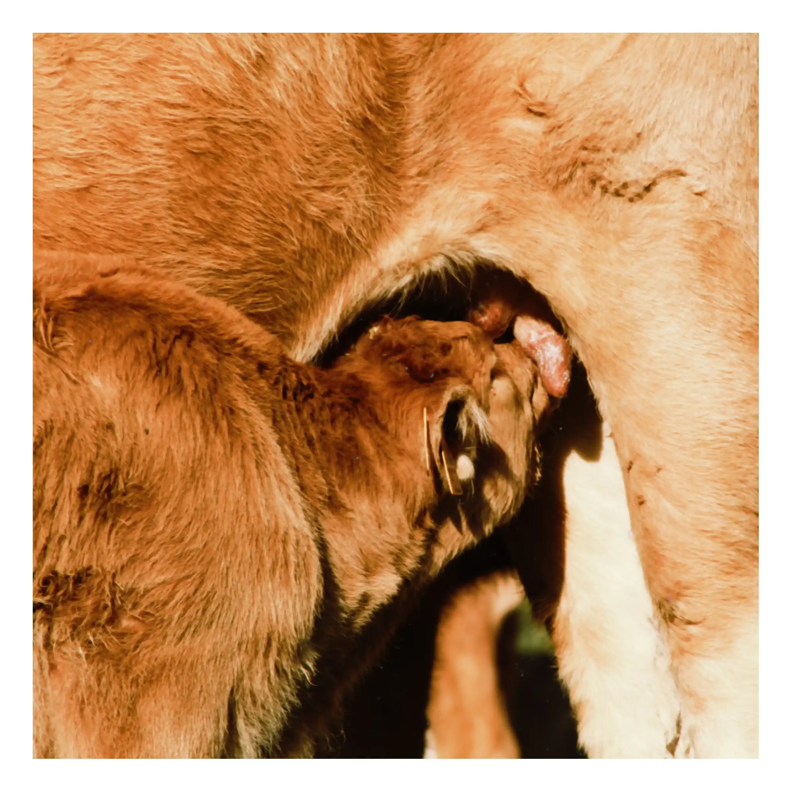 81EBE921-D62E-463A-8FBD-AD71AFFD84B8(1)