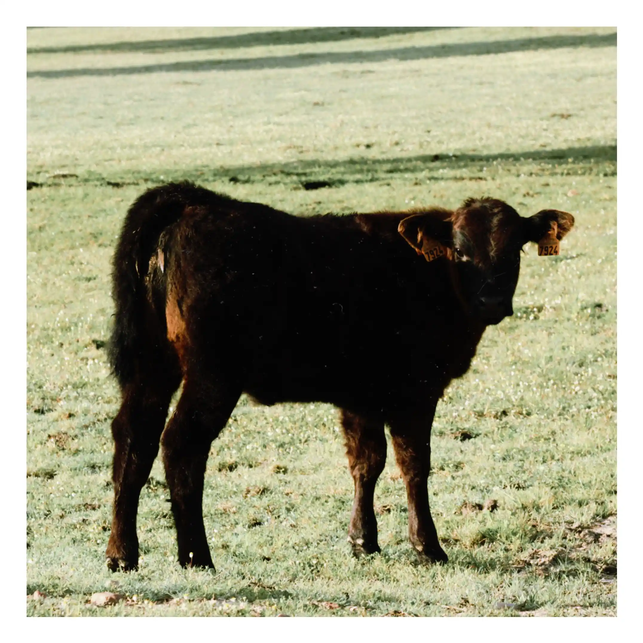 30BC5B34-D6C4-46F3-A919-B7E0B93D62A2