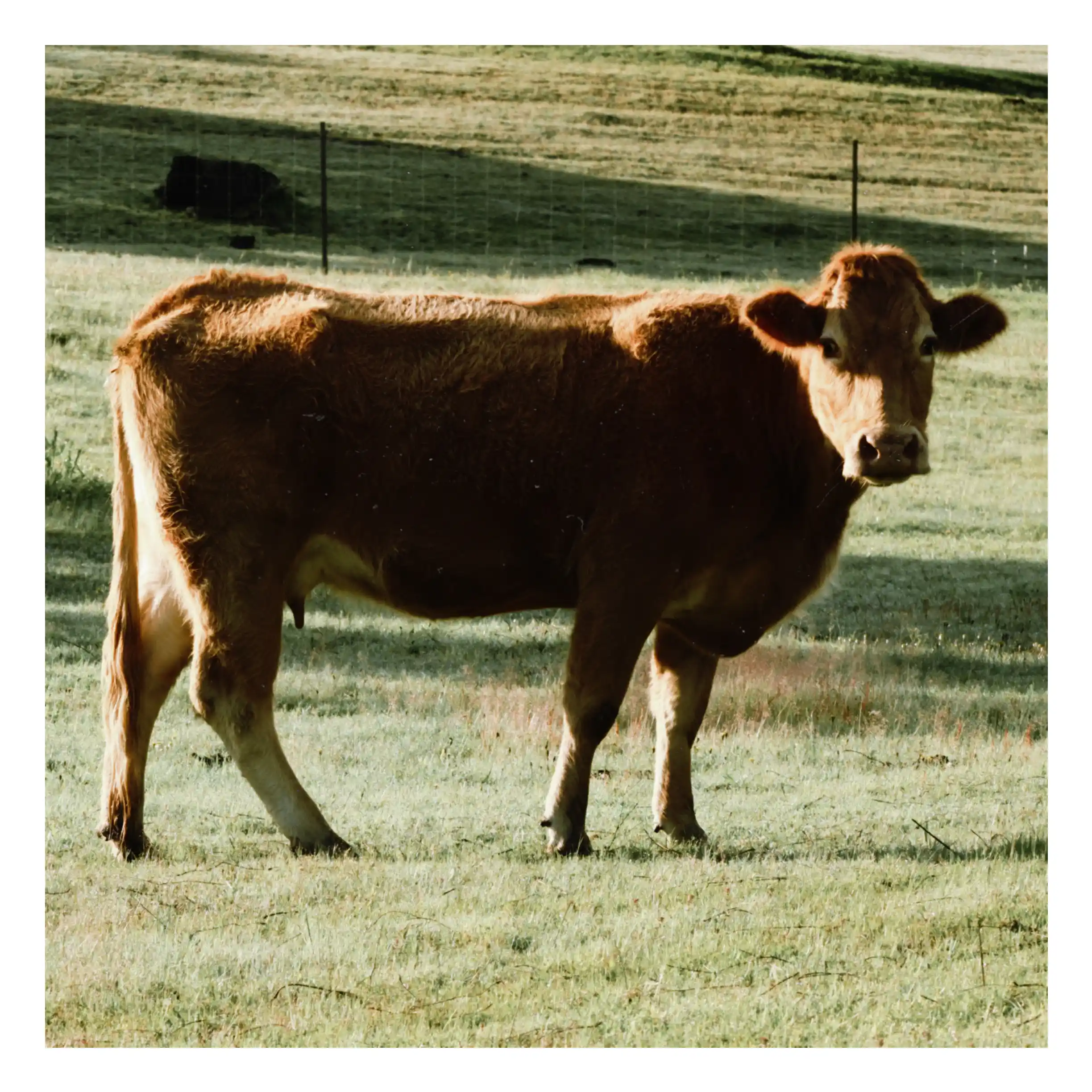 60690433-3E43-4722-A8BA-5EF4172D21CA