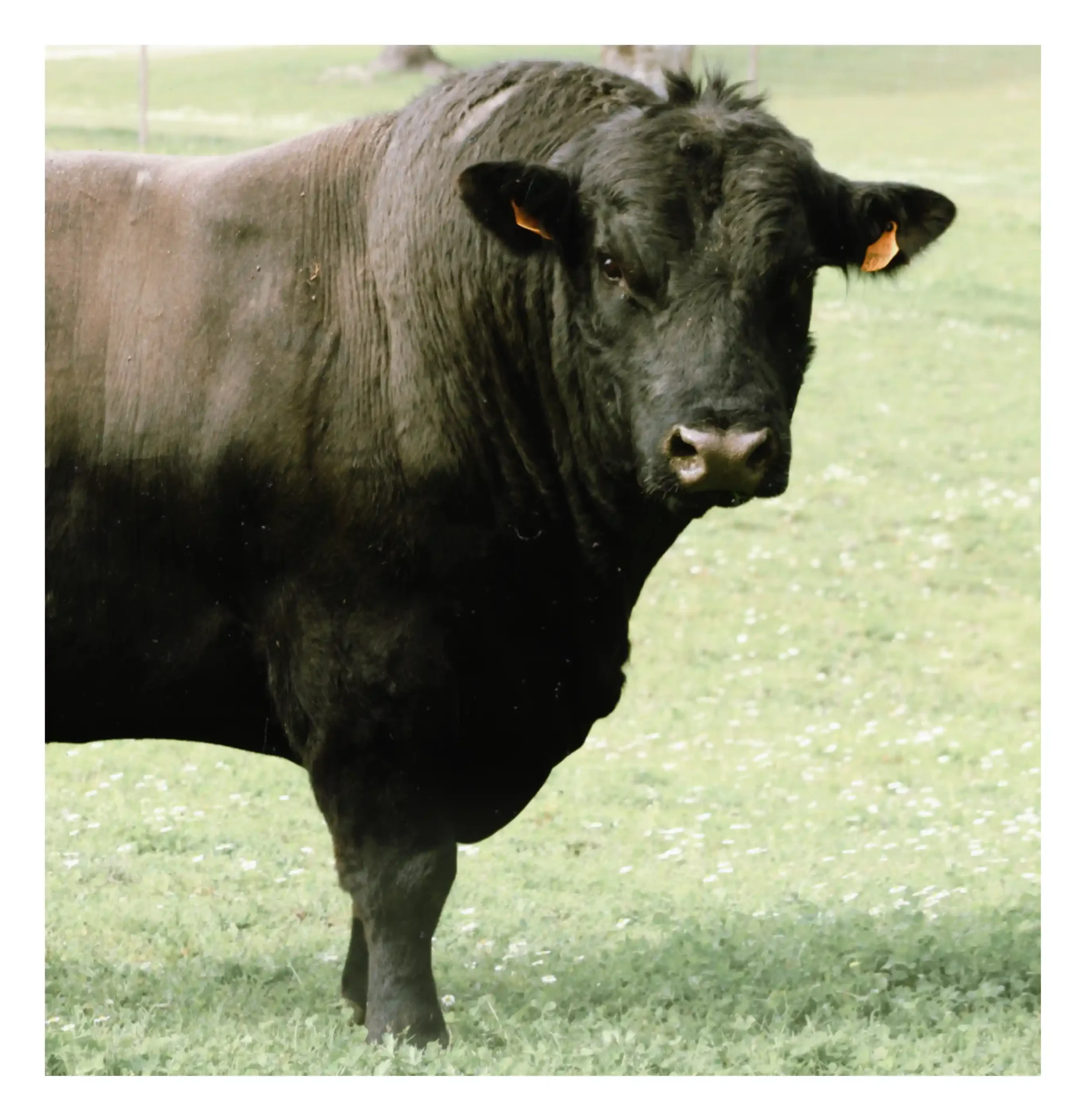 8C63508E-8AF8-4670-A3BE-40D3A82074F5